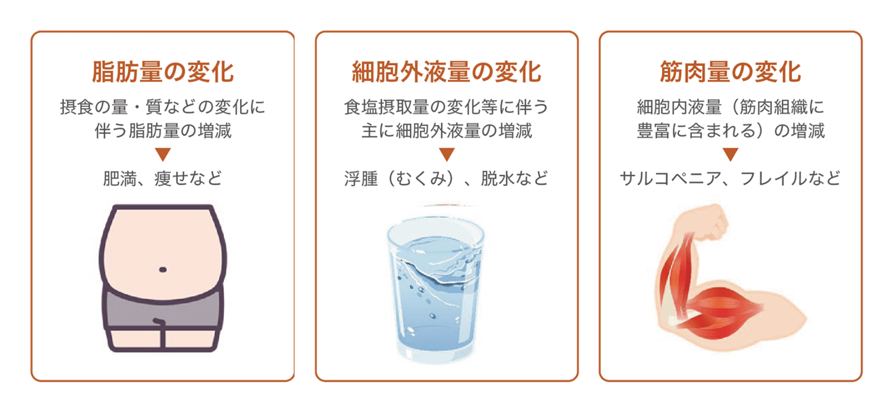 血液透析